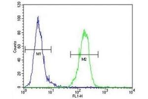 AKT1 antibody flow cytometric analysis of MDA-MB435 cells (green) compared to a negative control (blue). (AKT1 antibody  (AA 115-144))