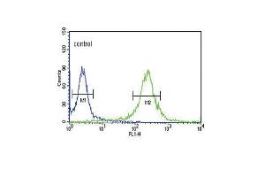 Flow Cytometry (FACS) image for anti-Kruppel-Like Factor 5 (Intestinal) (KLF5) (AA 341-370), (C-Term) antibody (ABIN391515)
