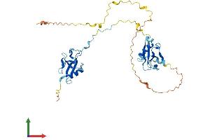 AlphaFold protein structure predicition of Mouse Recombinant Dcdc2c Protein, UniprotID Q9D1B8 (DCDC2C Protein (AA 1-347) (His tag))