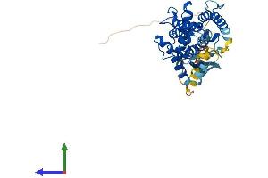 AlphaFold protein structure predicition of Human Recombinant PARVB Protein, UniprotID Q9HBI1 (Parvin, beta Protein (PARVB) (AA 1-364) (His tag))