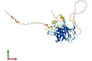 Protein Structure (PS) image for Phospholipid Scramblase 4 (PLSCR4) (AA 1-326) protein (His tag) (ABIN7556511)