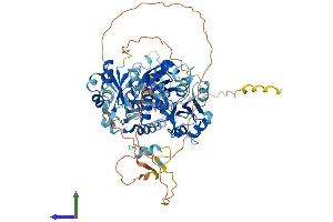 AlphaFold protein structure predicition of Mouse Recombinant Esrp2 Protein, UniprotID Q8K0G8