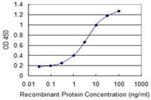 Detection limit for recombinant GST tagged IL24 is 0. (IL-24 antibody  (AA 58-167))
