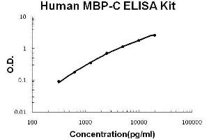 Human MBP-C/MBL2 PicoKine ELISA Kit standard curve