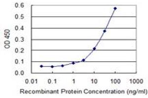 Detection limit for recombinant GST tagged ABHD5 is 0. (ABHD5 antibody  (AA 240-342))