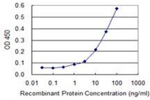 Detection limit for recombinant GST tagged ABHD5 is 0. (ABHD5 antibody  (AA 240-342))