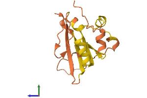 Protein Structure (PS) image for Transmembrane Phosphoinositide 3-Phosphatase and Tensin Homolog 2 Pseudogene 1 (TPTE2P1) (AA 1-138) protein (His tag) (ABIN7544671)