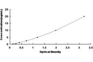 Typical standard curve (REPIN1 ELISA Kit)
