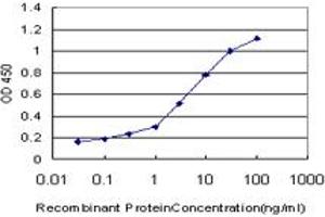 Detection limit for recombinant GST tagged NFYB is approximately 0. (NFYB antibody  (AA 1-207))