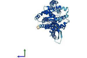 Protein Structure (PS) image for Asparagine-Linked Glycosylation 12, alpha-1,6-Mannosyltransferase Homolog (ALG12) (AA 1-488) protein (His tag) (ABIN7552082)
