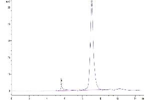Size-exclusion chromatography-High Pressure Liquid Chromatography (SEC-HPLC) image for ADAM Metallopeptidase Domain 8 (ADAM8) (AA 17-658) protein (His tag) (ABIN7273803)