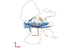 AlphaFold protein structure predicition of Mouse Recombinant Jph2 Protein, UniprotID Q9ET78 (Junctophilin 2 Protein (JPH2) (AA 1-696) (His tag))