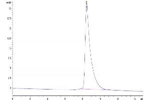 Size-exclusion chromatography-High Pressure Liquid Chromatography (SEC-HPLC) image for butyrophilin, Subfamily 2, Member A2 (BTN2A2) (AA 30-244) protein (His tag) (ABIN7273982)