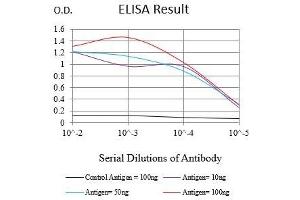 Black line: Control Antigen (100 ng),Purple line: Antigen (10 ng), Blue line: Antigen (50 ng), Red line:Antigen (100 ng) (KRT6A antibody  (AA 253-352))