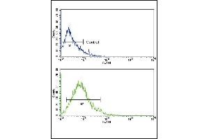 Flow cytometric analysis of HL-60 cells using GLUT2 (SLC2A2) Antibody (bottom histogram) compared to a negative control cell (top histogram).