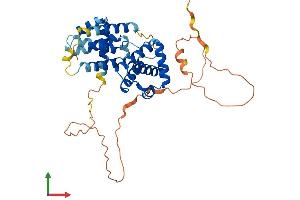 Protein Structure (PS) image for Cyclin I (CCNI) (AA 1-377) protein (His tag) (ABIN7553211)
