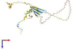AlphaFold protein structure predicition of Human Recombinant PRR23C Protein, UniprotID Q6ZRP0 (PRR23C Protein (AA 1-262) (His tag))