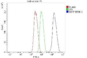 Flow Cytometry analysis of HepG2 cells using anti-EAPP antibody (ABIN7599214). (EAPP antibody  (AA 1-285))