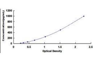 Meteorin, Glial Cell Differentiation Regulator (METRN) ELISA Kit