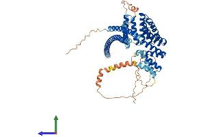 AlphaFold protein structure predicition of Human Recombinant KLC1 Protein, UniprotID Q07866