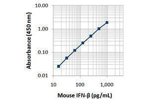 ELISA image for anti-Interferon, beta 1, Fibroblast (IFNB1) antibody (Biotin) (ABIN2661188) (IFNB1 antibody  (Biotin))