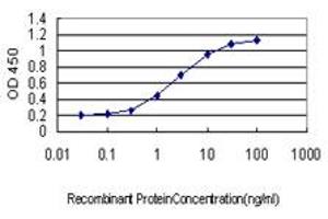 Detection limit for recombinant GST tagged TNP1 is approximately 0. (TNP1 antibody  (AA 1-55))