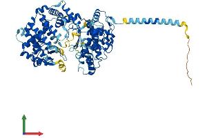 AlphaFold protein structure predicition of Mouse Recombinant Kel Protein, UniprotID Q9EQF2 (KEL Protein (AA 1-713) (His tag))