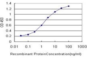 Detection limit for recombinant GST tagged CYB5R4 is approximately 0. (CYB5R4 antibody  (AA 388-487))