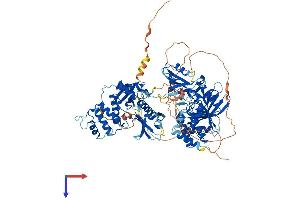 AlphaFold protein structure predicition of Human Recombinant PTPN4 Protein, UniprotID P29074 (PTPN4 Protein (AA 1-926) (His tag))