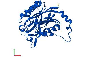Protein Structure (PS) image for Nitrilase Family, Member 2 (NIT2) (AA 1-276) protein (His tag) (ABIN7549882)