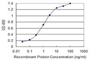 Detection limit for recombinant GST tagged PLEKHA6 is 0. (PLEKHA6 antibody  (AA 1-30))