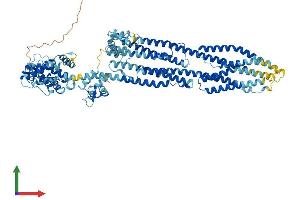 Protein Structure (PS) image for Actinin, alpha 1 (ACTN1) (AA 1-892) protein (His tag) (ABIN7551900)