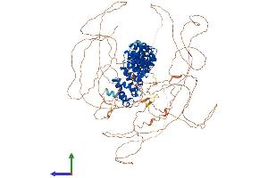 AlphaFold protein structure predicition of Mouse Recombinant Pum2 Protein, UniprotID Q80U58 (PUM2 Protein (AA 1-1066) (His tag))