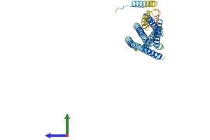 AlphaFold protein structure predicition of Mouse Recombinant Stx16 Protein, UniprotID Q8BVI5 (Syntaxin 16 Protein (STX16) (AA 1-326) (His tag))