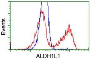 Image no. 3 for anti-Aldehyde Dehydrogenase 1 Family, Member L1 (ALDH1L1) antibody (ABIN1496582) (ALDH1L1 antibody)