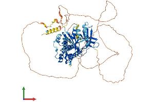 Protein Structure (PS) image for Mitogen-Activated Protein Kinase Kinase Kinase 3 (MAP3K3) (AA 1-626) protein (His tag) (ABIN7549217)