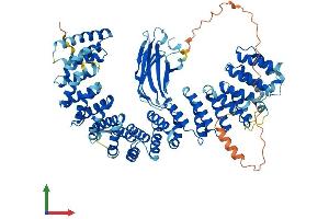 AlphaFold protein structure predicition of Human Recombinant AP1G2 Protein, UniprotID O75843