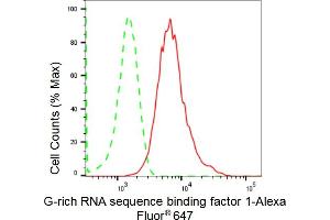 Flow cytometric analysis of G-rich RNA sequence binding factor 1 expression in HepG2 cells using G-rich RNA sequence binding factor 1 antibody (ABIN7798678), 1:2,000).
