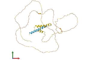 Protein Structure (PS) image for Proline-Rich Transmembrane Protein 2 (PRRT2) (AA 1-346) protein (His tag) (ABIN7562115)