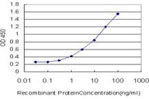 Detection limit for recombinant GST tagged TGIF2 is approximately 0. (TGIF2 antibody  (AA 131-236))