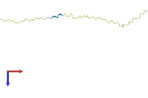 Protein Structure (PS) image for Small Proline Rich Protein 4 (SPRR4) (AA 1-76) protein (Fc Tag) (ABIN7559328)