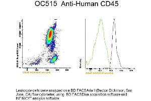 Image no. 1 for anti-Protein tyrosine Phosphatase, Receptor Type, C (PTPRC) antibody (Orange Cytognos 515) (ABIN1112154)