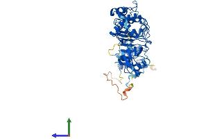 Protein Structure (PS) image for Tubulin Folding Cofactor E-Like (TBCEL) (AA 1-424) protein (His tag) (ABIN7559160)
