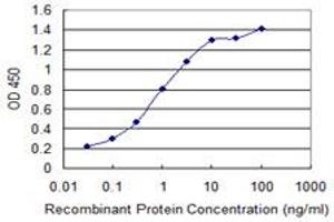 Detection limit for recombinant GST tagged ACOX2 is 0. (Acox2 antibody  (AA 582-681))
