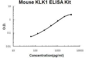 Mouse KLK1 PicoKine ELISA Kit standard curve