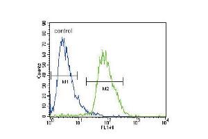 Flow cytometric analysis of HepG2 cells (right histogram) compared to a negative control cell (left histogram). (CACNA2D3 antibody  (C-Term))