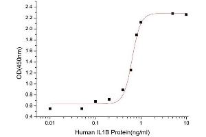 Activity Assay (AcA) image for Interleukin 1, beta (IL1B) (AA 117-269) (Active) protein (His tag) (ABIN7607235)
