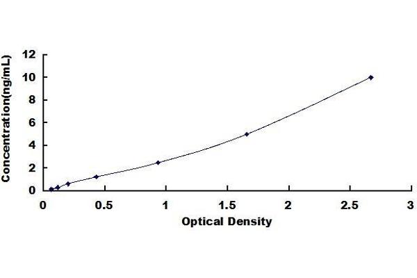 MBP ELISA Kit