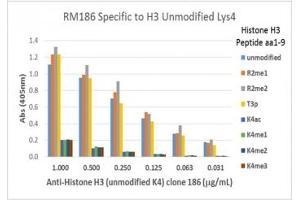 This recombinant Histone H3 antibody specifically recognizes Histone H3 unmodified at Lys4 and does not recognize acetylated, monomethylated, dimethylated, or trimethylated Lys4.