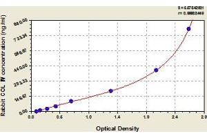 Typical Standard Curve (Collagen IV ELISA Kit)